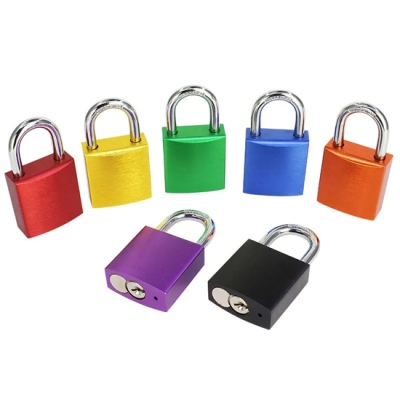 Ổ Khóa An Toàn Thân Nhôm Cùm Thép 25mm PROLOCKEY ALP25